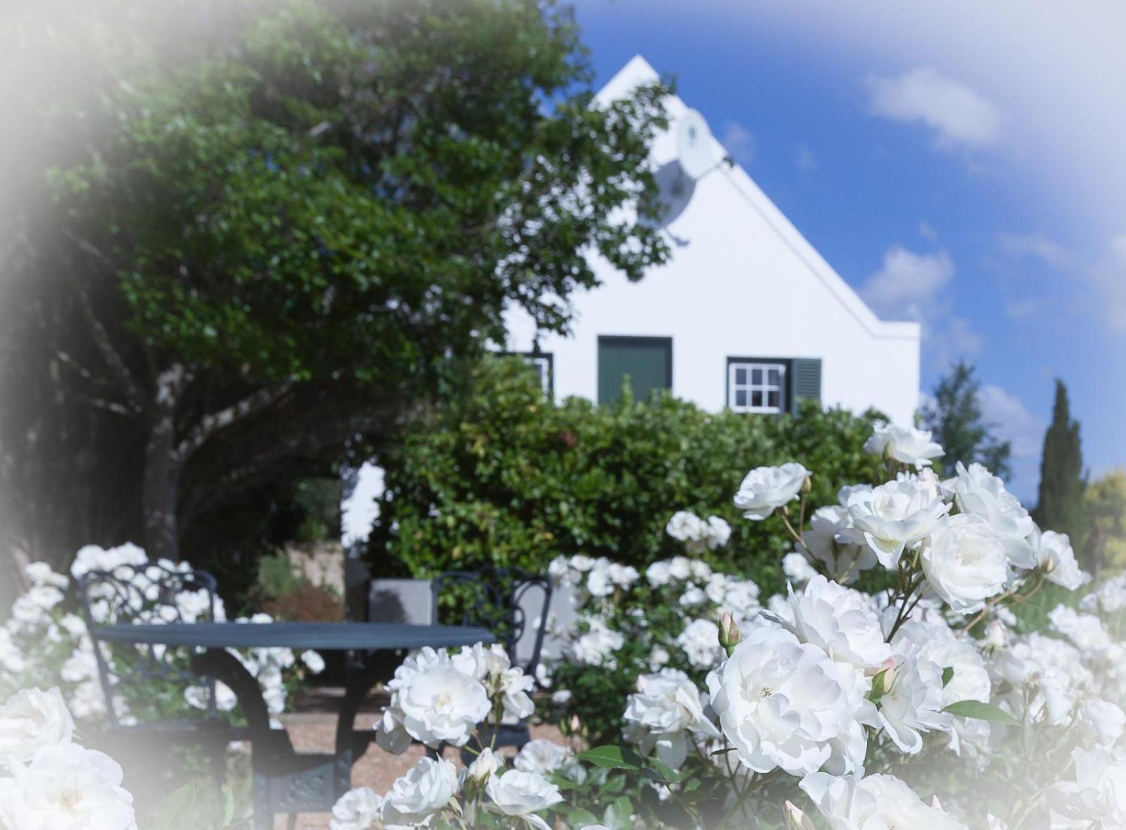 Sanddrif Stellenbosch Guest Farm Exterior photo